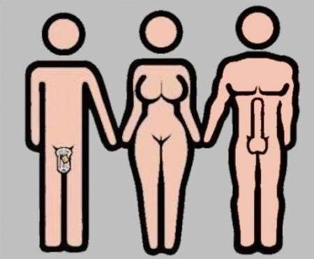  deux hommes bi pour femmes ou couples...