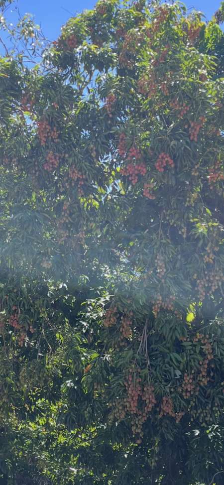 2 h blak bien mont pour femme et coples