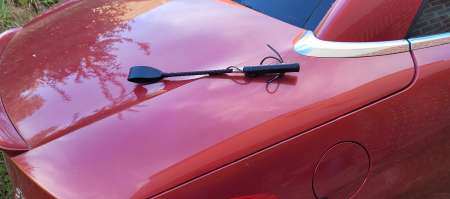 educateur a la recherche de sa soumise