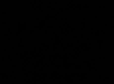 mahoraise de st pierre