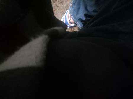 bonjour homme recherche û couple echangiste